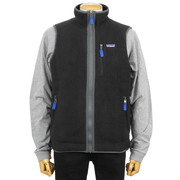 Patagonia